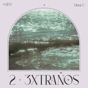 Album 2 3xtraños (feat. Dani G.) (Explicit) from Salvi