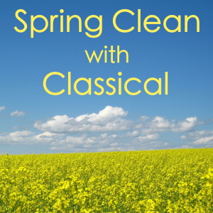 Listen to Symphony No.2 in E major: I song with lyrics from VIVA Symphony Orchestra