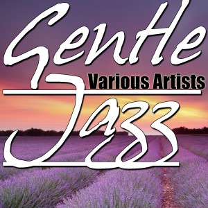收聽Shirley Horn的The Sentimental Touch歌詞歌曲