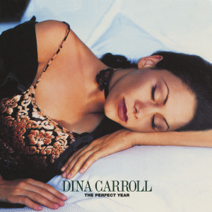 收聽Dina Carroll的The Perfect Year (Radio Mix)歌詞歌曲