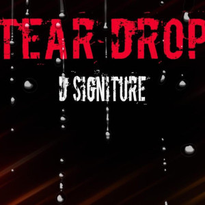 收聽D Signature的Tear Drops歌詞歌曲