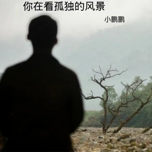 Listen to 你在看孤独的风景 song with lyrics from 薛佳鹏