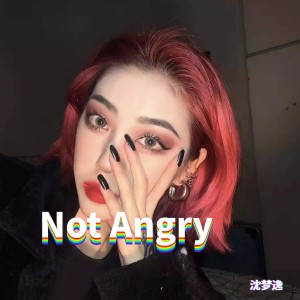 Album Not Angry oleh 沈梦逸