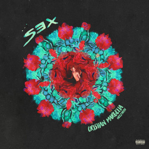 Listen to S3x (Explicit) song with lyrics from Cristian Margelia