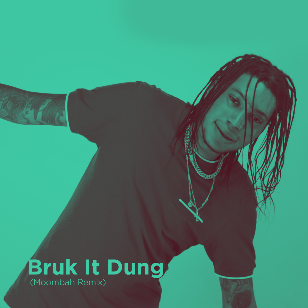 Bruk It Dung (Moombah Remix|Explicit)