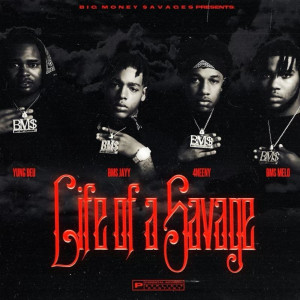 Listen to Twerk (Explicit) song with lyrics from BM$