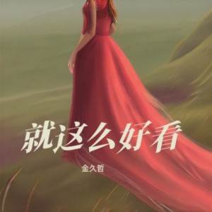 Album 就这么好看 from 金久哲
