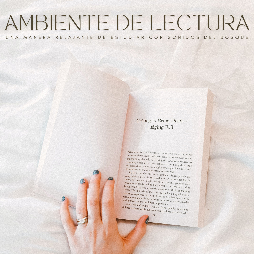 El Perfecto Ambiente Para Estudiar