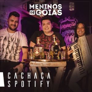 ดาวน์โหลดและฟังเพลง Cachaça Spotify พร้อมเนื้อเพลงจาก Meninos de Goias