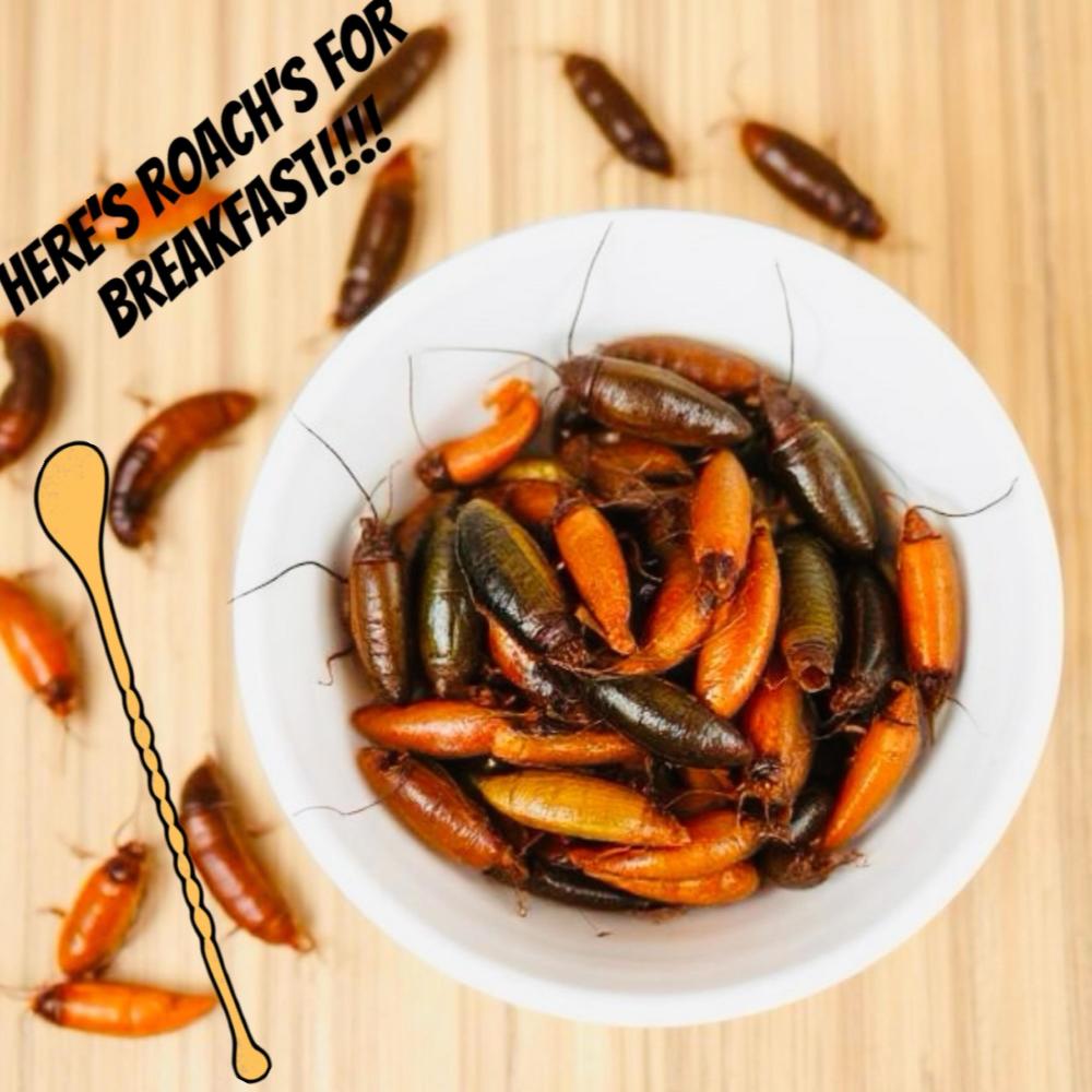 Roach=Breakfast (Explicit)