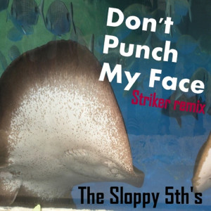 อัลบัม Don't Punch My Face ศิลปิน The Sloppy 5th's