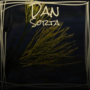Various的专辑Dan Sorta