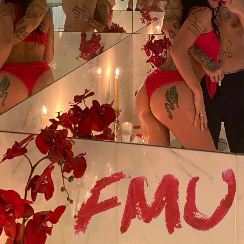 FMU (Explicit)