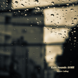 收聽네이쳐콜링的비오는 소리 ASMR Ⅰ Rain Sounds ASMR Ⅰ歌詞歌曲