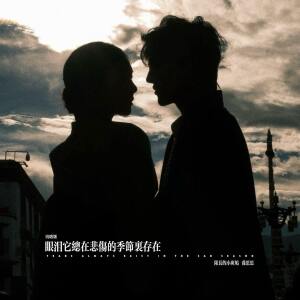 Album 眼泪它总在悲伤的季节里存在 (说唱版) from 