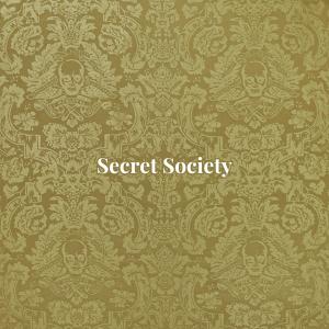 收聽Cellus Hamilton的Secret Society歌詞歌曲