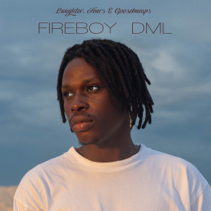 Fireboy DML的專輯Laughter, Tears & Goosebumps