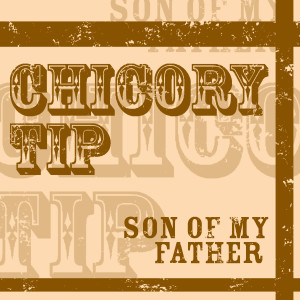 ดาวน์โหลดและฟังเพลง Merry Christmas Everybody พร้อมเนื้อเพลงจาก Chicory Tip