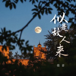 似是故人来 dari 佳音