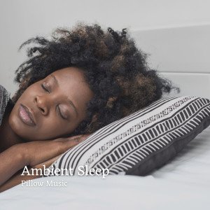 Album Ambient Sleep: Pillow Music from Ambient