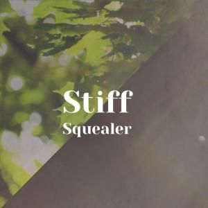 Listen to Stiff Squealer song with lyrics from Saira Naga