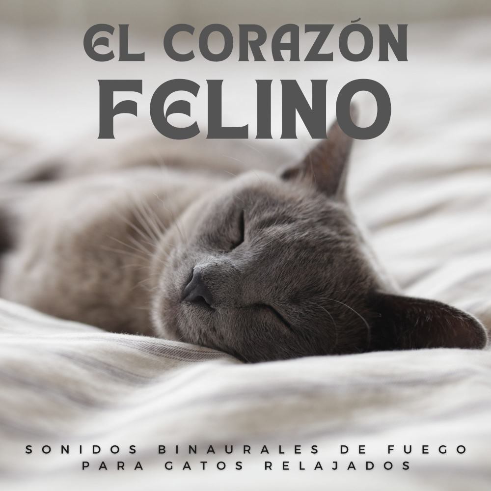 Hogar Para Un Felino Feliz