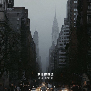 Listen to 东北麻辣烫 song with lyrics from 褚晨茜