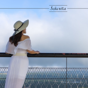 ดาวน์โหลดและฟังเพลง Señorita พร้อมเนื้อเพลงจาก Tony Soleno