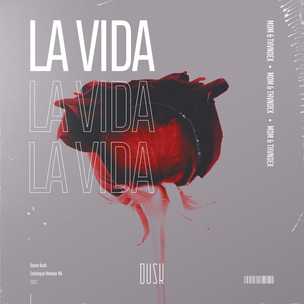 La Vida (Extended Mix)