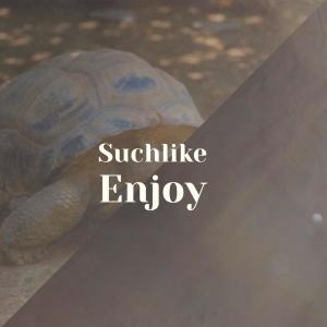 收聽Joack Gaun的Whichsoever Enjoy歌詞歌曲