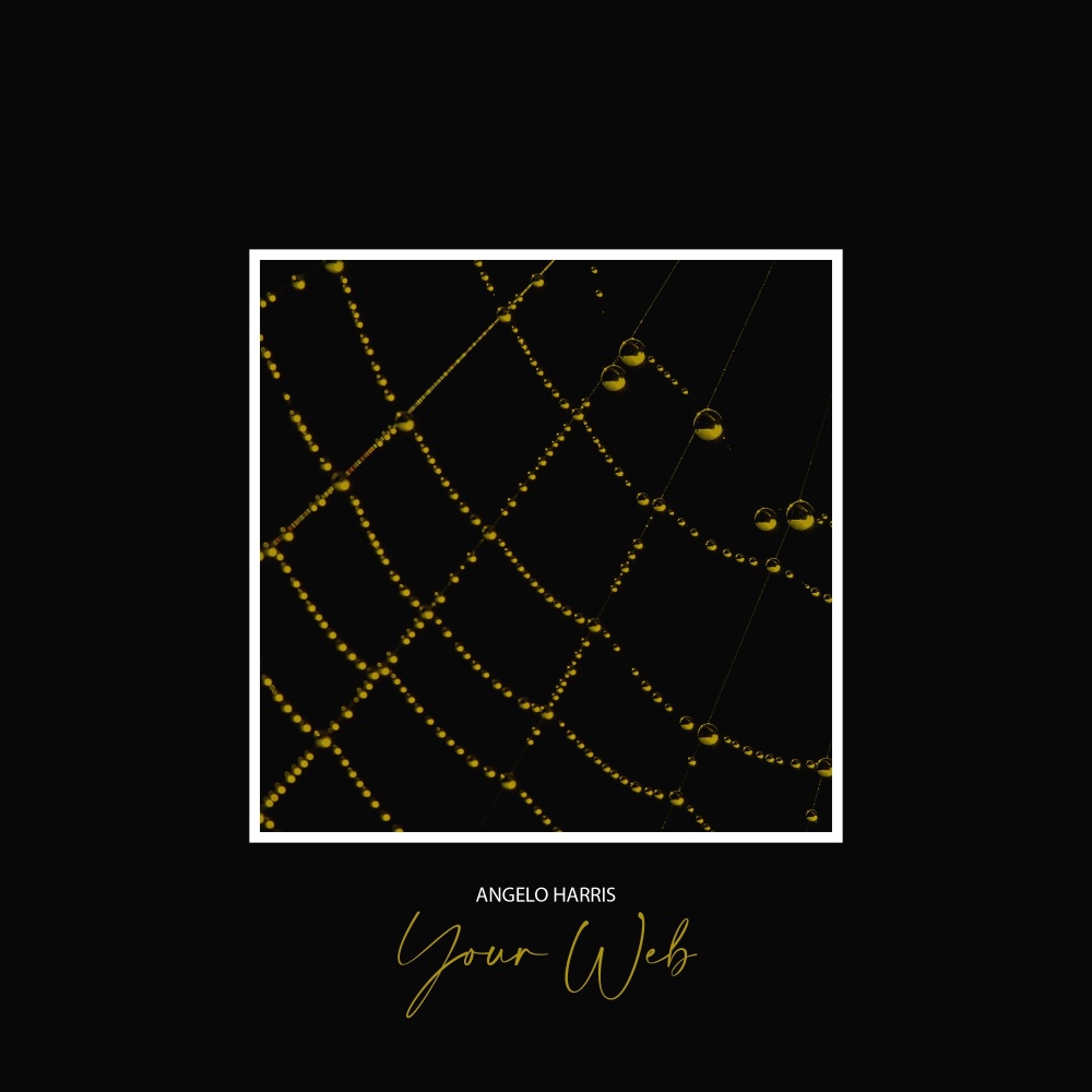 Your Web