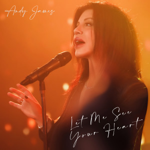 Andy James的專輯Let Me See Your Heart