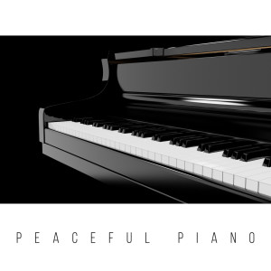 Listen to Mindfulness song with lyrics from Jazz Music Consort