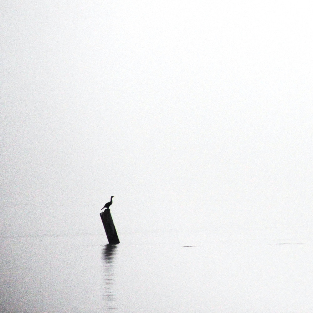 Solace