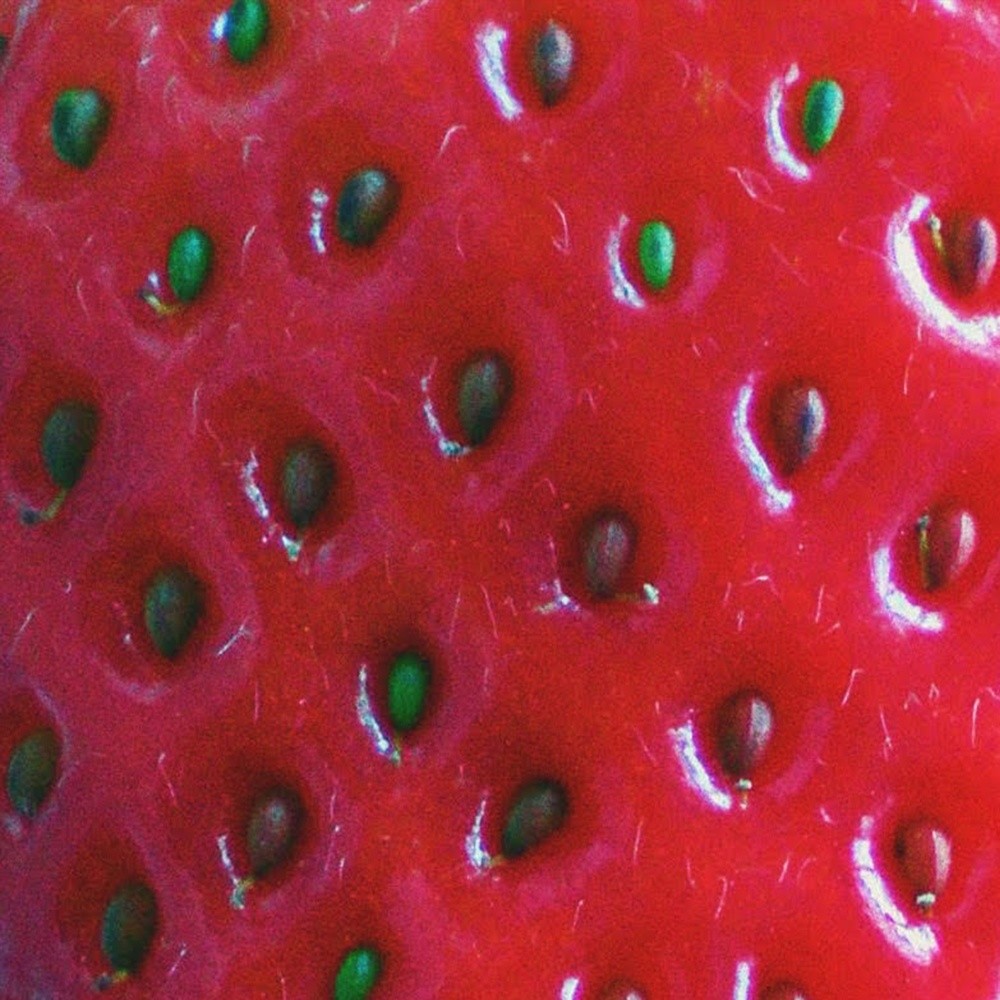 Strawberry Visions (Explicit)