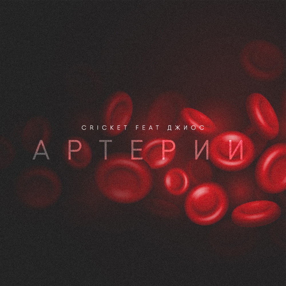 Артерии
