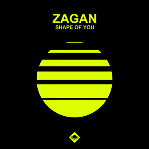 Listen to Shape of You (Radio Edit) song with lyrics from ZagaN