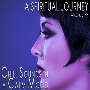 Listen to Someone Calls (Maurice Mix) song with lyrics from Maurice Sanders