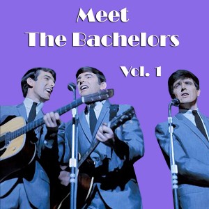 Meet The Bachelors, Vol. 01