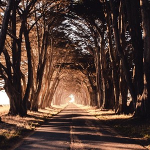 TrippySkrr的專輯Maintain (House/Trance)