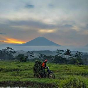 Dengarkan Musik Tenang Pedesaan lagu dari NYong Niode dengan lirik