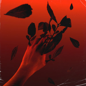 的专辑Apollo e Dafne (Explicit)