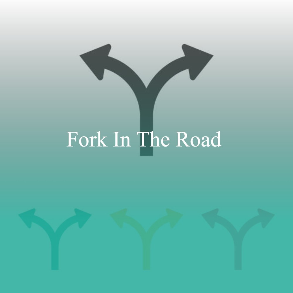 Fork in the Road