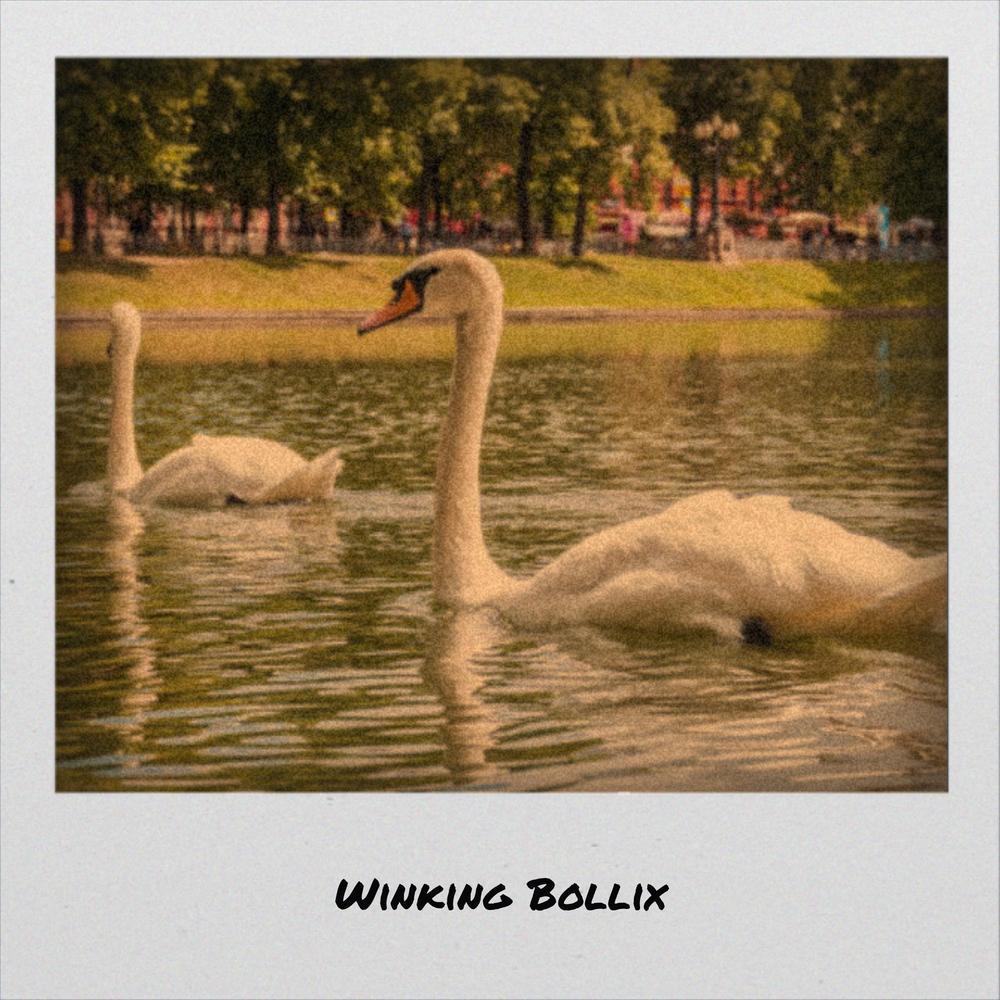 Winking Bollix