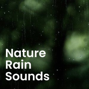 ดาวน์โหลดและฟังเพลง Soothing Forest Ambience at Dawn พร้อมเนื้อเพลงจาก Nature Ambience