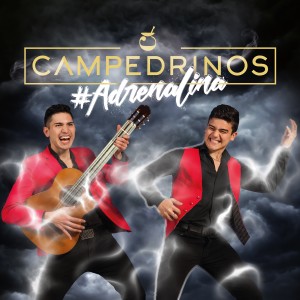 收聽Campedrinos的Amor en Carnaval歌詞歌曲