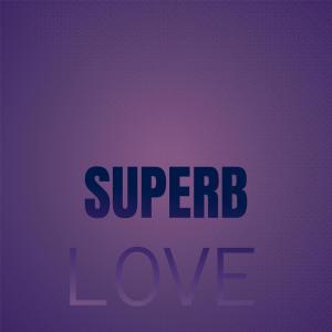 Album Superb Love from Various