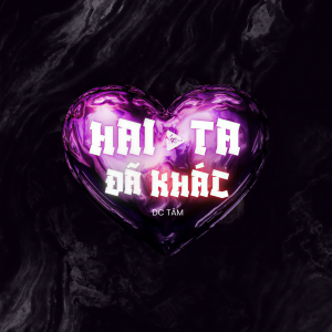 9C Media的专辑Hai Ta Đã Khác (LVT Remix)