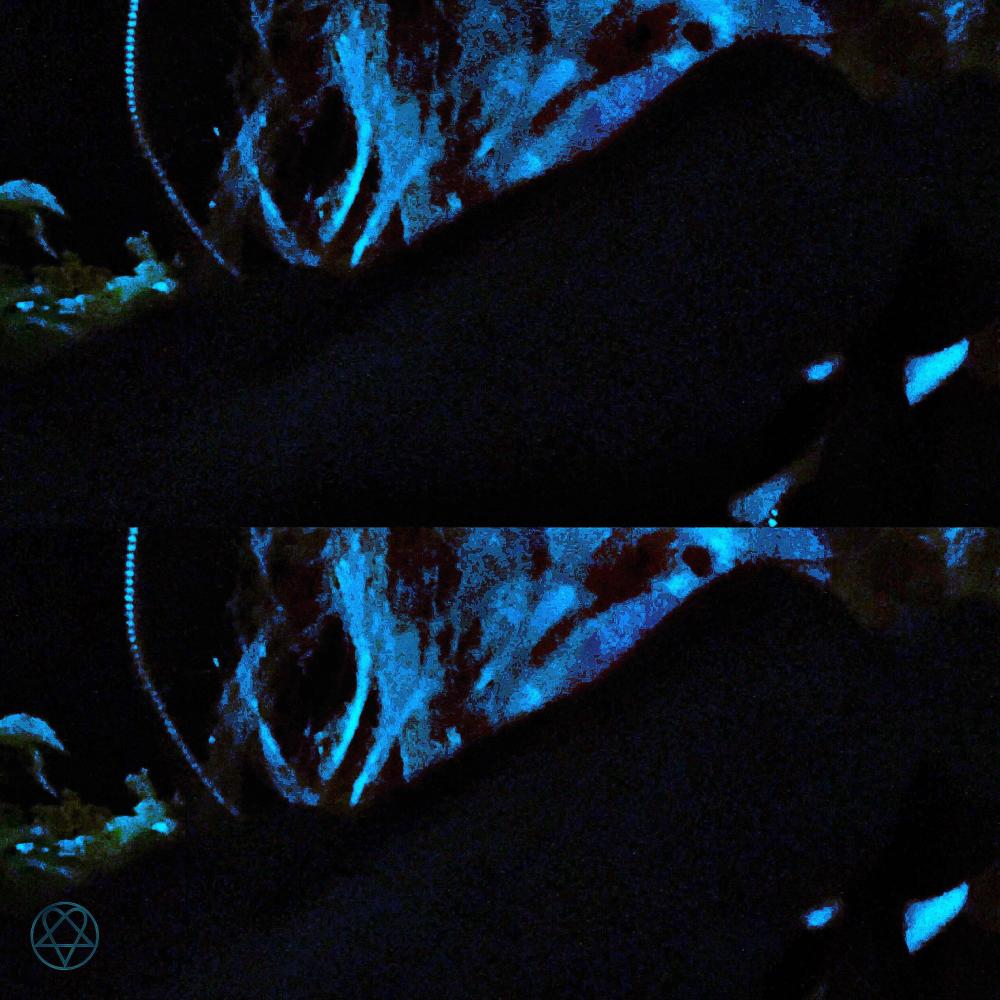 ofc (Explicit)