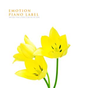 Album Emotional Piano Listening To Waiting For Spring oleh 韩国群星